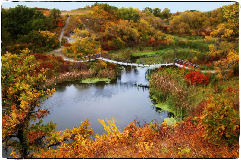 Eternal Springs by Trudy Curtis